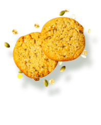 Galletas de avena Granvita